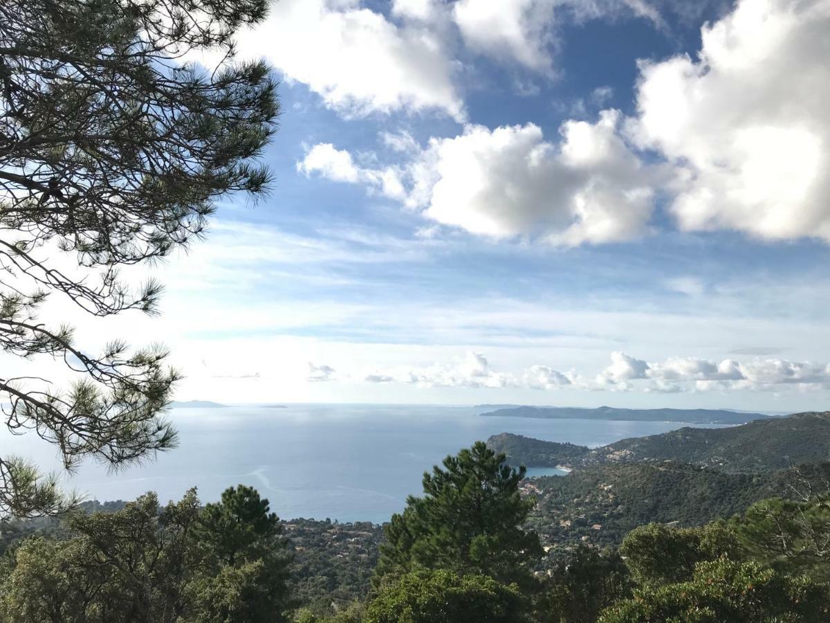 Appartamento T2 Moderne Avec Jardin Le Le Rayol-Canadel-sur-Mer Esterno foto